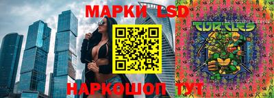 молекула духа Славгород