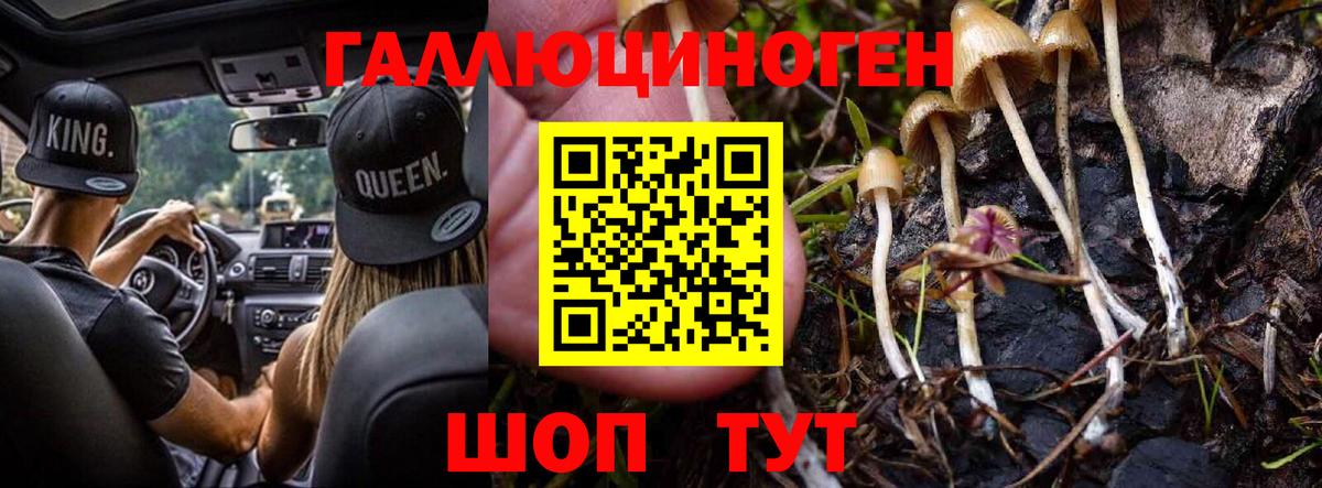 Псилоцибиновые грибы мицелий Рубцовск
